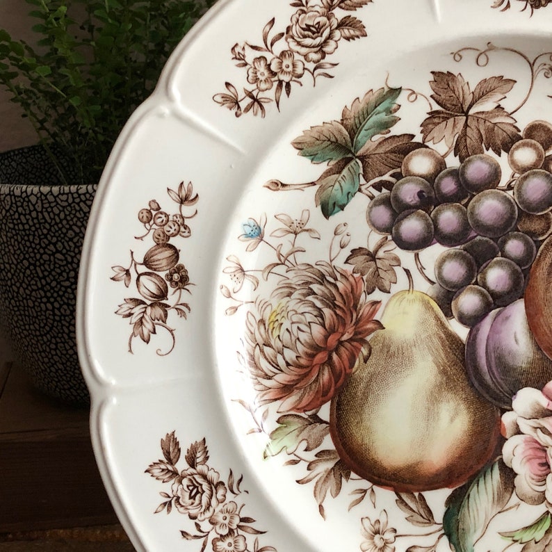 Fruit Plate Dinner Plate Vintage Windsor Fruit Johnson Bros England Brown White