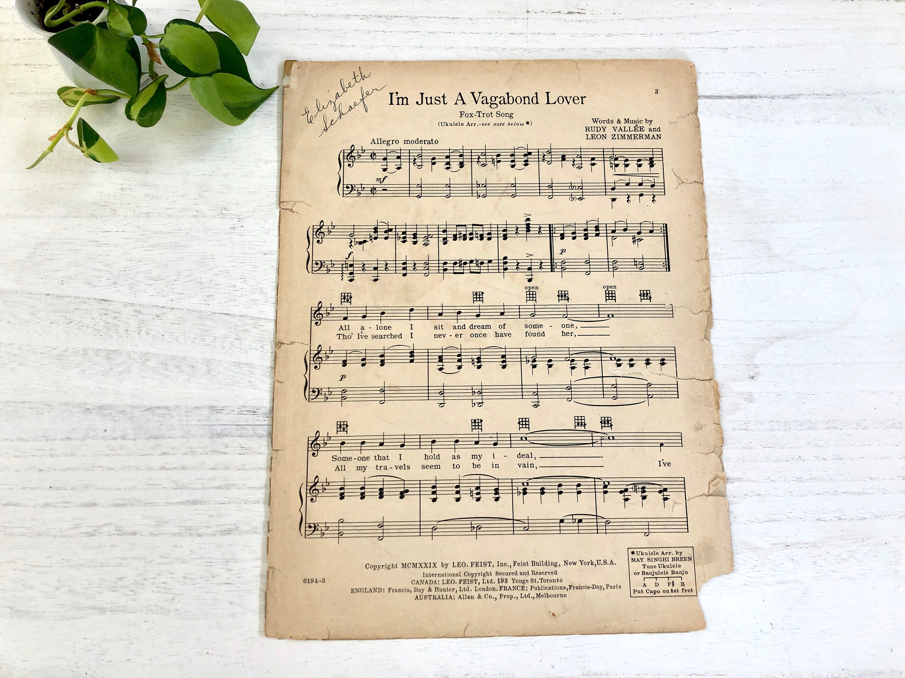 Vagabond Lover Fox Song Sheet Music 1929 by Rudy Vallee | Etsy