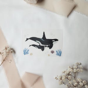 Bügelbild Orca | Schwertwal | Meer | Patches | Baby Jungs Mädchen | Aufnäher | Applikation |  süße Bügelbilder | Buttercup Illustration