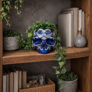 May include: A decorative blue skull planter with silver accents, filled with green plants, sits on a wooden shelf. The skull has intricate detailing and is surrounded by trailing vines. Other shelves hold books, small potted plants, and a woven basket.