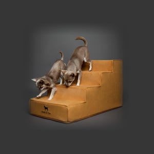 May include: A tan, four-step pet staircase with a smooth, leather-like finish. The bottom step features a small black logo of a dog silhouette above the text "Noah & Paw." Two small, light brown dogs are standing on the steps.