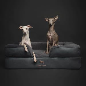 May include: Two Italian Greyhounds, one white and one grey, are sitting on a dark grey dog bed. The bed has a raised edge and a logo that says "Noah & Paw".
