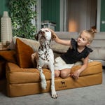 Dog Beds