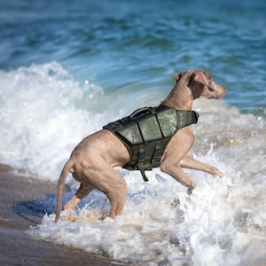 Dog Lifejacket, Human Standards Design, with 3x Foam Support for Max Floating