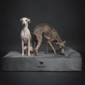 6&quot; Thick Dog Bed, Orthopedic Eggshell Memory Foam, Infused with Cooling Gel, Classic Style - Velvet