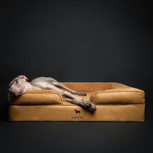 May include: A tan rectangular pet bed with raised sides and a smooth surface. A Weimaraner dog is lying on the bed. The front of the bed features a small black silhouette logo of a dog and the text Noah & Paw printed in black lettering.