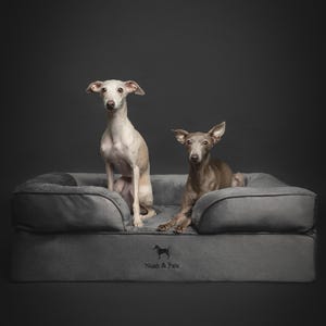 6&quot; Thick Dog Bed, Orthopedic Eggshell Memory Foam, Infused with Cooling Gel, Sofa Style - Velvet