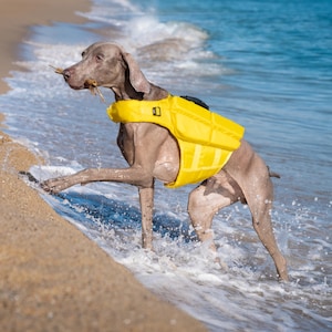 Dog Lifejacket, Human Standards Design, with 4x Foam Support for Max Floating