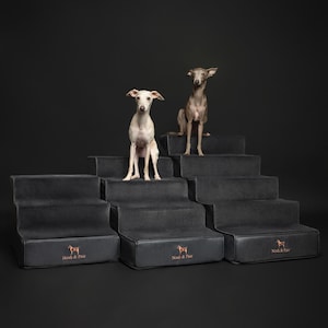 May include: Two Italian Greyhounds sit on dark gray pet stairs. The stairs have a tiered design and are made of a soft, plush material. The brand name "Noah & Paw" is printed in a copper color on the front of each step.