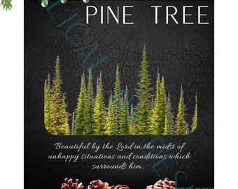 Isaiah 41:17-20 a - The Pine Tree - Modern Art
