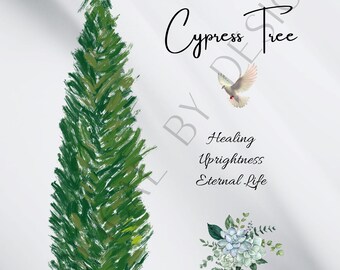 Isaiah 41:17-20 e - The Cypress Tree - Whimsical Style