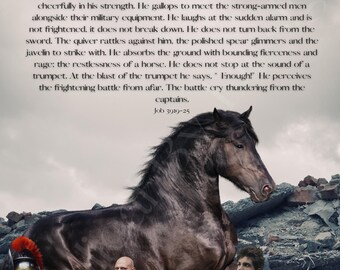 Lessons from the Horse in Job - Contemporary Art