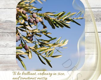 Isaiah 41:17-20 - The Olive Tree - Modern Art