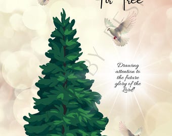 Isaiah 41:17-20 g - The Fir Tree - Cream