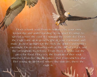 The Eagle and the Hawk in Job - Modern Art