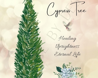 Isaiah 41:17-20 e - The Cypress Tree - Cream
