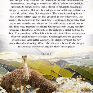 Op de afbeelding: Een bruine en witte struisvogel met zijn vleugels wijd uitgespreid, staand op een kleurrijke abstracte achtergrond met twee witte eieren ervoor. De tekst "Lessons from the Ostrich" en "Job 39:13-18" is zichtbaar in de afbeelding.