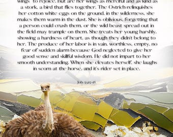 Lessons from the Ostrich in Job - Contemporary Art