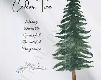 Isaiah 41:17-20 c - The Cedar Tree - Whimsical Style