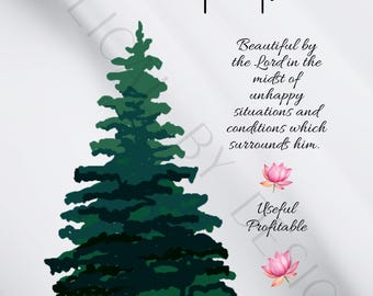 Isaiah 41:17-20 a - The Pine Tree - Whimsical Style