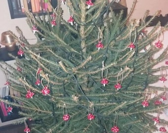 May include: A Christmas tree decorated with red and white mushroom ornaments. The tree is lit with white lights and is in a pot.