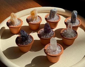 Mini Raw Crystal Potted Plant: Spiritual Desk Decor