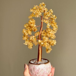 Könnte beinhalten: Eine weiße Keramik-Tasse mit schwarzem Henkel und dem Text "But First, Coffee" in handschriftlichem Stil. Die Tasse steht auf einer weißen Oberfläche. Die Tasse ist etwa 10 cm hoch.