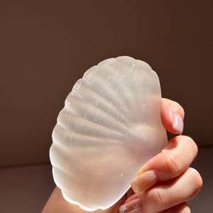 以下が含まれることがあります： 半透明の白い貝殻の形をした物体で、滑らかで磨かれた表面と、片側に放射状の隆起があります。素材は半透明で、湾曲した扇形の構造を通して光が透過するようになっています。
