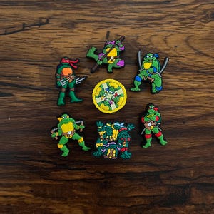 May include: A collection of Teenage Mutant Ninja Turtles character charms in various poses. The charms are primarily green, with red, purple, and blue accents. Each turtle is holding a weapon or in a fighting stance. A yellow and green pizza slice charm is also included.