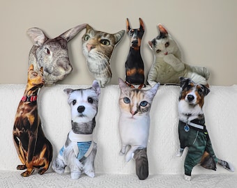 Cojines personalizados con formas feas para mascotas | Hechos a medida con fotos | Cojines feos | Cojines personalizados | Cojines personalizados para perros y gatos | Regalos para la vuelta al cole