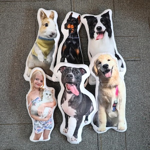 May include: A collection of plush pillows shaped like various animals and a girl holding a cat. The animal pillows include a rabbit, a Doberman, a Border Collie, a Golden Retriever, and a Pit Bull. The girl is wearing a floral print outfit.