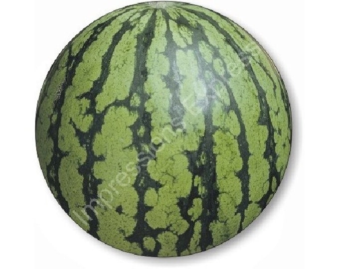 Watermelon Fruit Round Mousepad