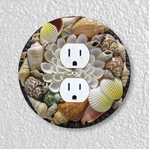 May include: A round, white electrical outlet cover with two outlets. The cover is decorated with a variety of seashells in shades of white, brown, and beige.