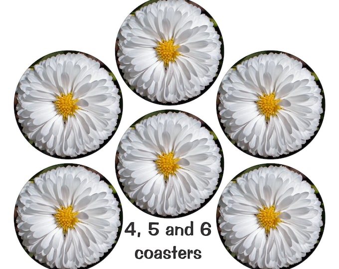 White Daisy Flower Glossy Round Cork Backed Coasters (Sets of 4,5 or 6)