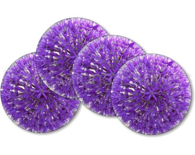 Purple Allium Flower Coasters - Set of 4