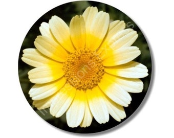 Yellow Daisy Flower Round Mousepad