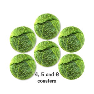 May include: Six green cabbage coasters with a white background. The text "4, 5 and 6 coasters" is printed below the coasters.