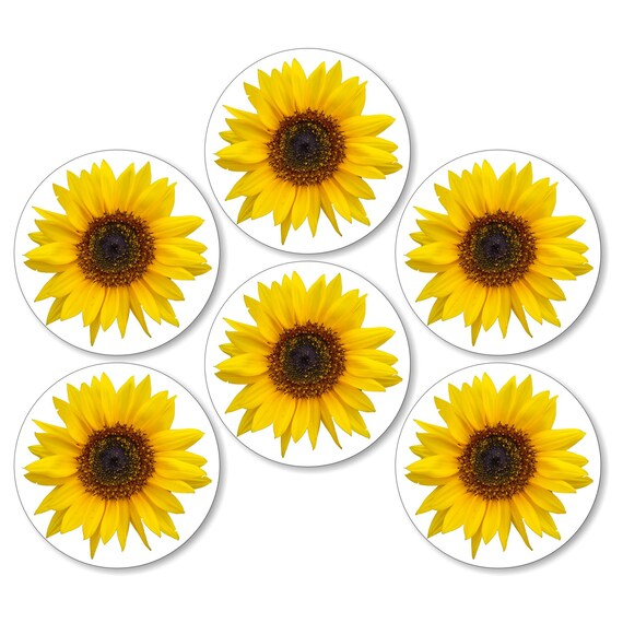 Glossy Sunflower Flower Round Cork Backed Coasters (Set of 6)