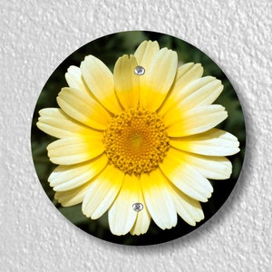 Yellow Daisy Flower Precision Laser Cut Duplex and Grounded Outlet Round Wall Plate Covers Single Blanking