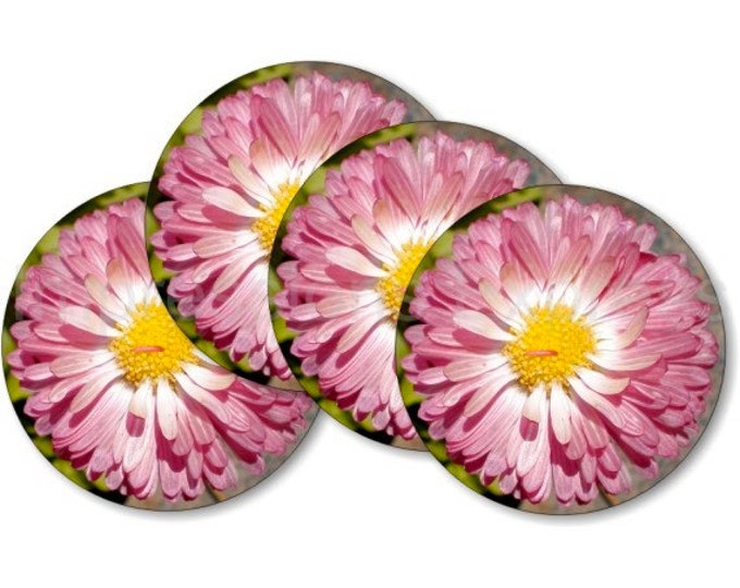 Pink Daisy Flower Coasters - Set of 4