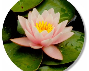 Water Lily Flower Round Mousepad