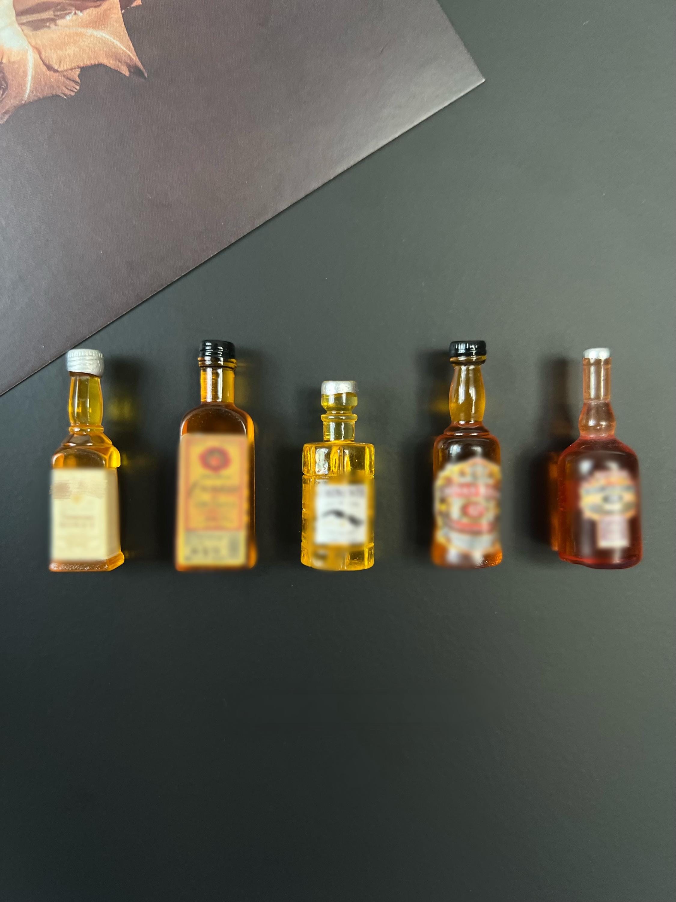 Miniature Resin Liquor Bottle Set - Etsy