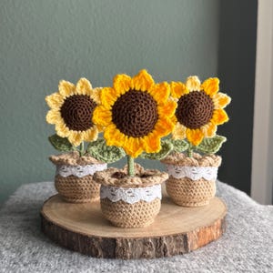 Könnte beinhalten: Drei gehäkelte Sonnenblumen in kleinen Töpfen. Die Sonnenblumen haben gelbe Blütenblätter und braune Zentren. Die Töpfe sind beige mit weißem Spitzensaum. Die Blumen werden auf einer Holzscheibe ausgestellt.