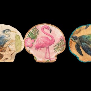 Pode incluir: Três obras de arte em concha com desenhos pintados. Uma apresenta uma garça azul e uma estrela do mar, outra um flamingo rosa e a última uma tartaruga marinha. Cada uma está definida contra um fundo neutro com um fundo preto.
