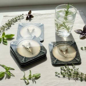 Gothic Vogelschädel Untersetzer-Set, Dark Academia Schreibtischzubehör, Makaberes Naturgeschichte Dekor, Kabinett Der Kuriosität Geschenke