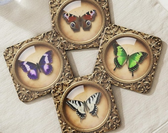 Butterfly Coaster Set, Framed Specimen Illusion Art, Victorian Curio Barware