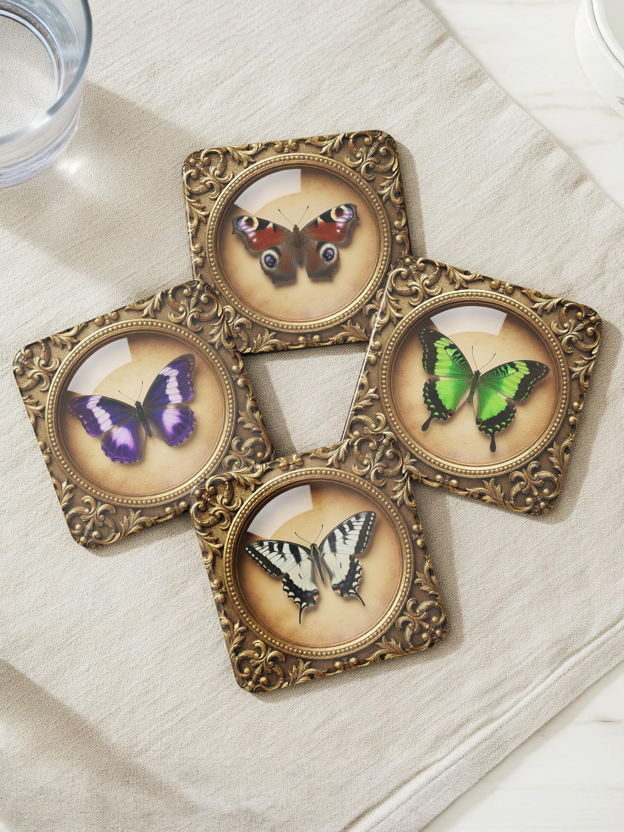 Bird taxidermy - Etsy 日本