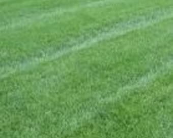 50 LB. Creeping Red Fescue Seed - for Shaded and Low-Maintenance Areas