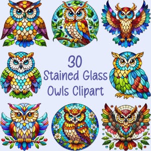30 Clipart di gufi in vetro colorato PNG e SVG Pacchetto di sublimazione Download digitale - Motivo gufo - Design in vetro colorato - Uso commerciale e POD