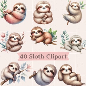 Sloth Clipart PNG Bundle: Nursery & Kids Art (Commercial Use, Digital Download